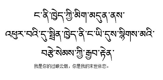 为什么藏语介绍藏语是汉藏语系藏缅语族藏语支?(组图)