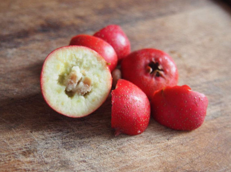 月经吃什么水果排污血缓解痛经功效有哪些水果