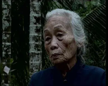 南京大屠杀幸存“慰安妇”自述：屋子里的味道让人想吐，生不如死