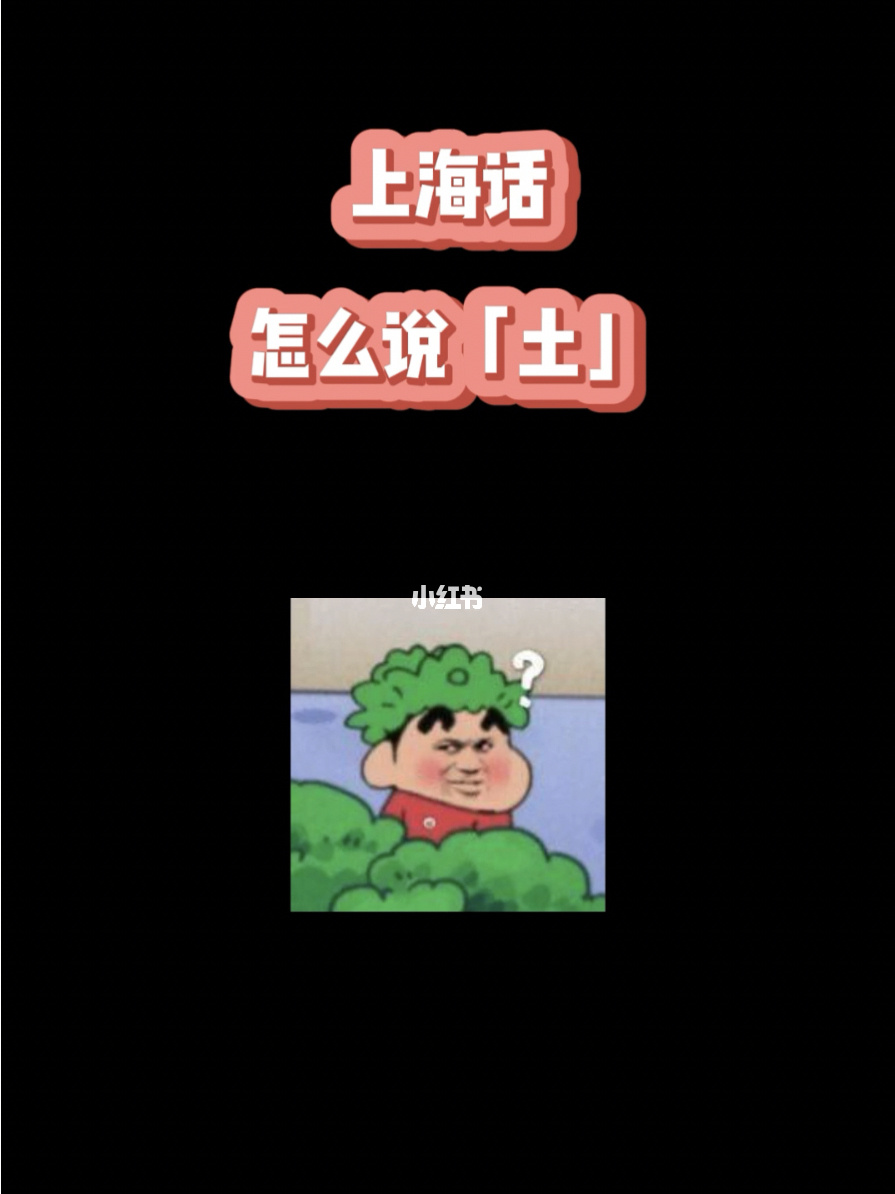 上海方言百科名片：上海话区的方言，你知道吗？
