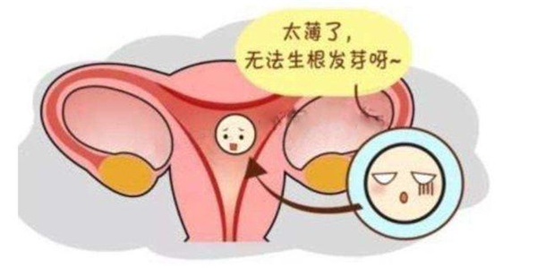 女人子宫内膜多厚正常