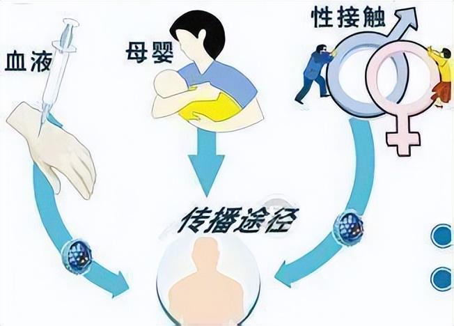 女性生殖器疱疹传播途径_疱疹传播途径_疱疹转播途径