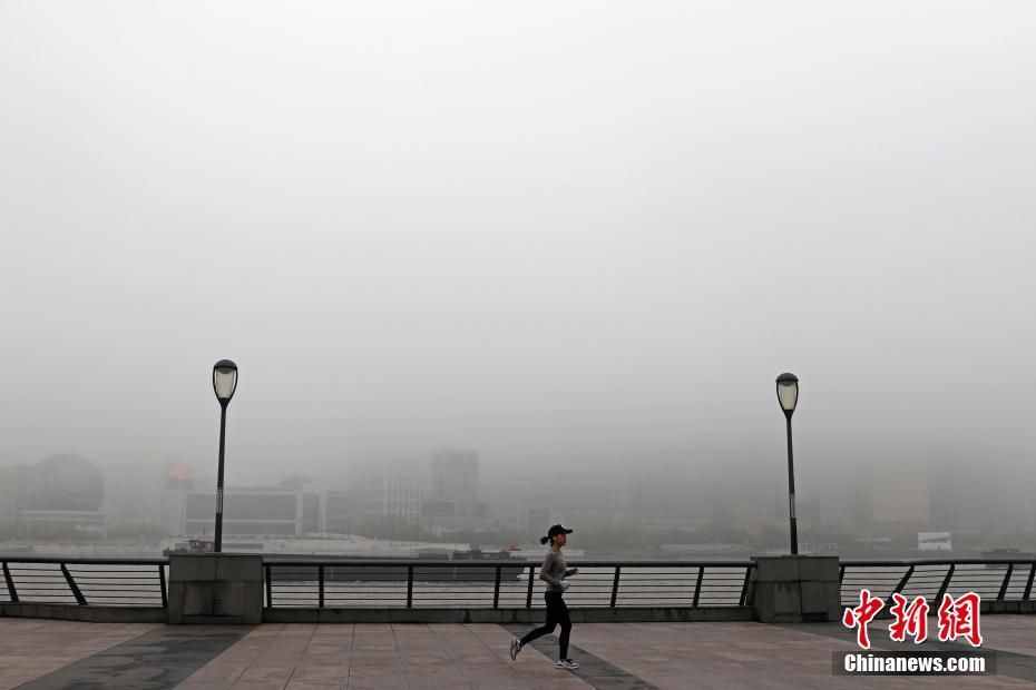 最新！上海清明天气预报刚刚出炉！果然要“泡汤”了~~~